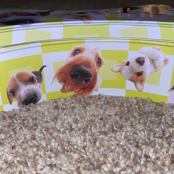 Dog bone shaped storage box with dog pics all over - Picture 2 of 3